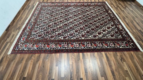 Bakhtiyar 248 x 366 - bakhtiyar,