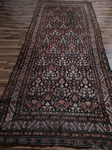 Bakhtiyar 151 x 360 - bakhtiyar,